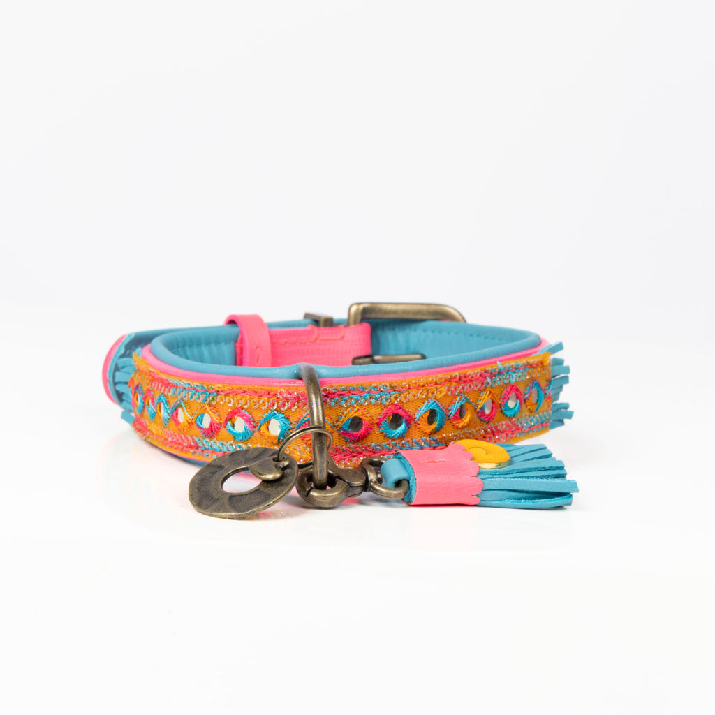 Indian Summer Halsband Dog with a Mission