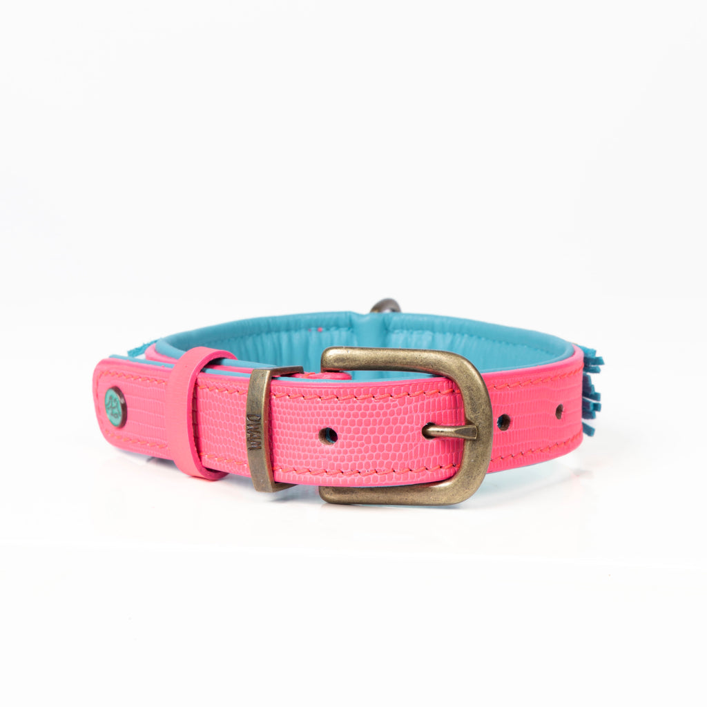 Indian Summer Halsband Dog with a Mission