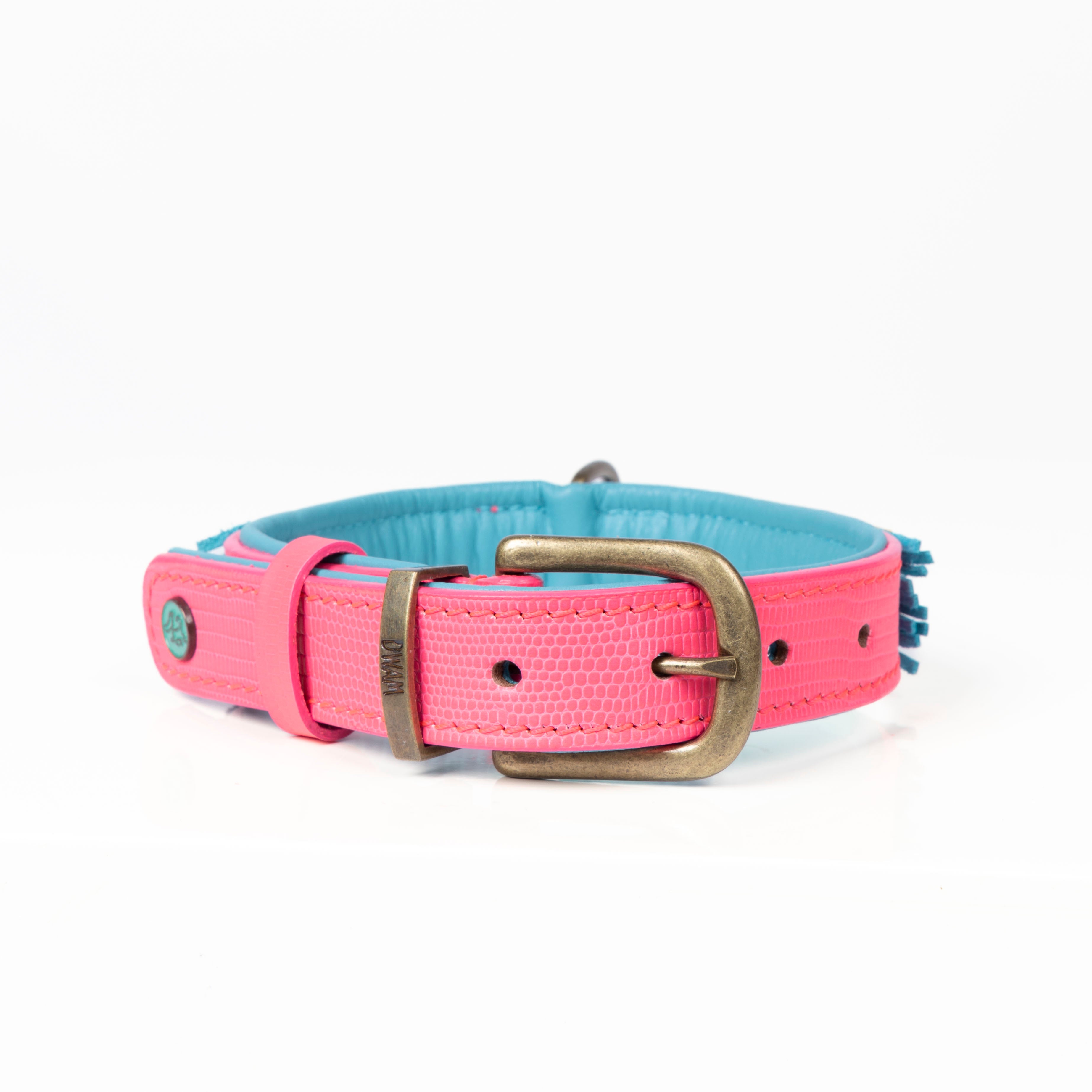 Indian Summer Halsband Dog with a Mission