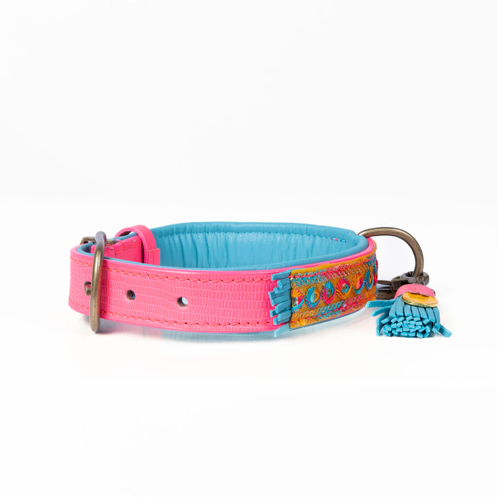 Indian Summer Halsband Dog with a Mission