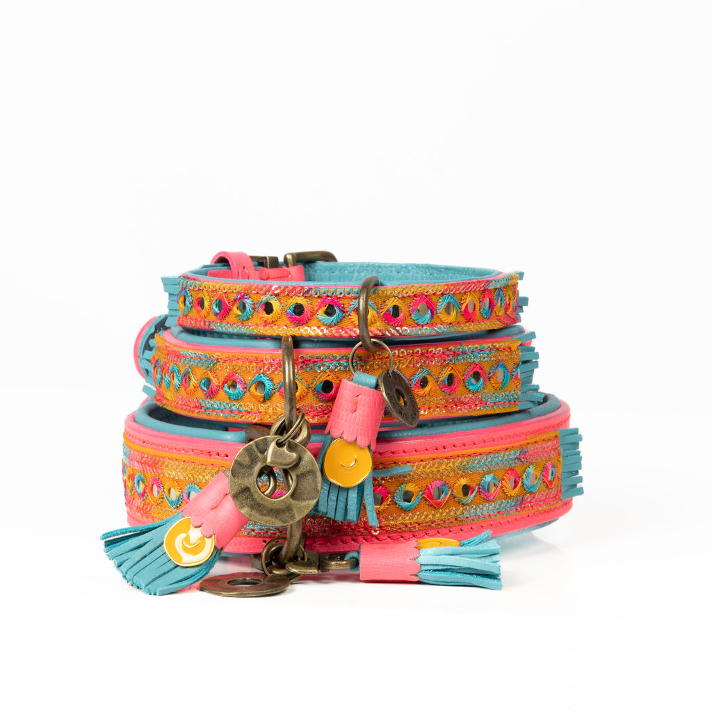 Indian Summer Halsband Dog with a Mission