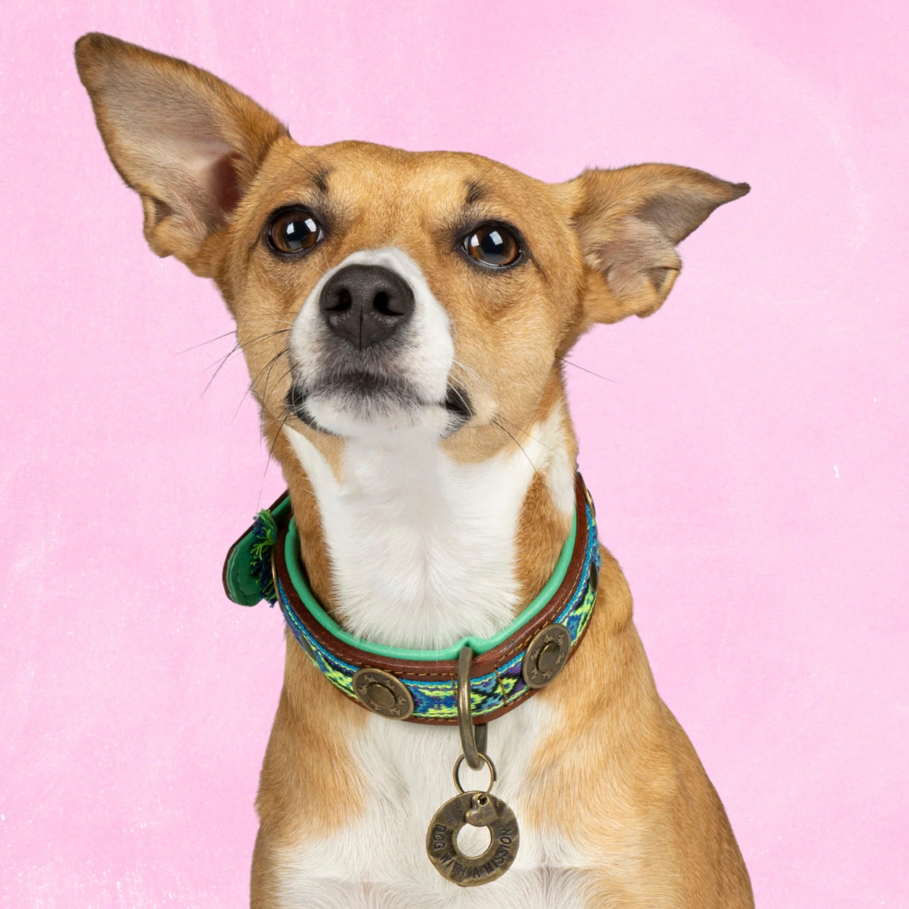 Boho Juan Hundehalsband Dog with a Mission
