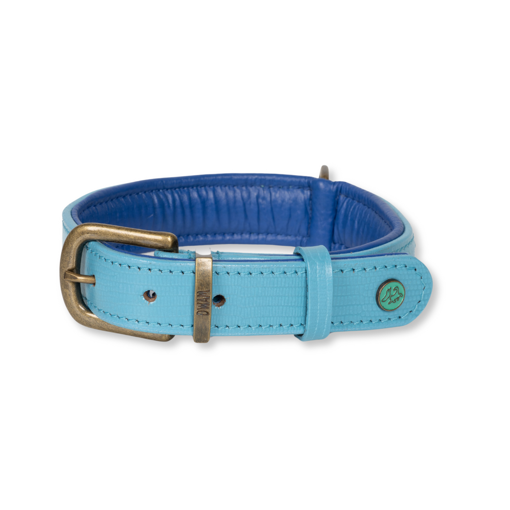Sky Halsband Dog with a Mission