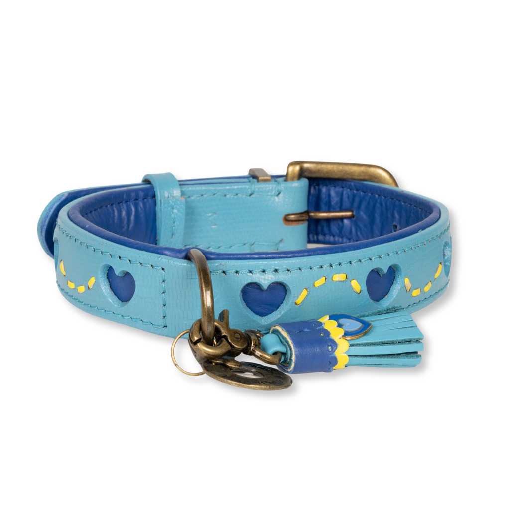 Sky Halsband Dog with a Mission