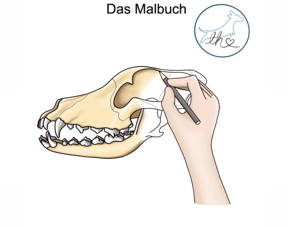 Malbuch Anatomie des Hundes
