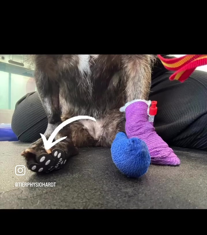 Anti-Rutsch-Pfotensticker