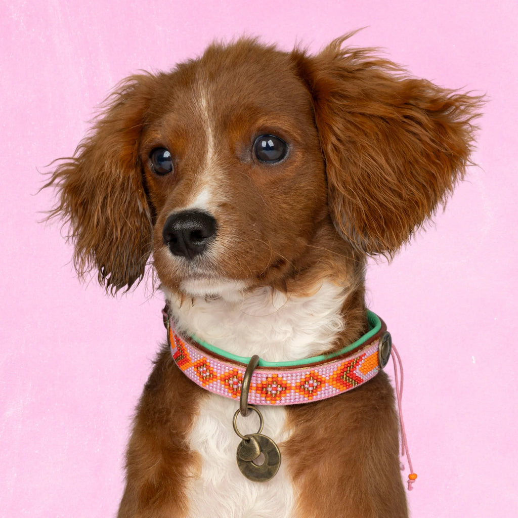Sweet Mae Halsband Dog with a Mission